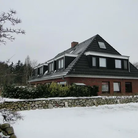 Sylter Rabe * Morsum (Sylt)