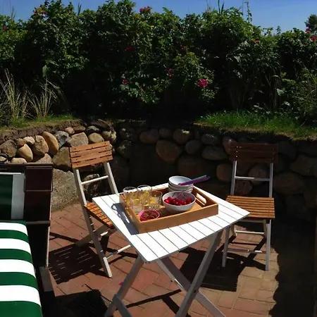 Sylter Rabe * Morsum (Sylt)